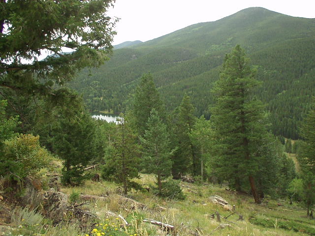 Beaver Brook Watershed Scene