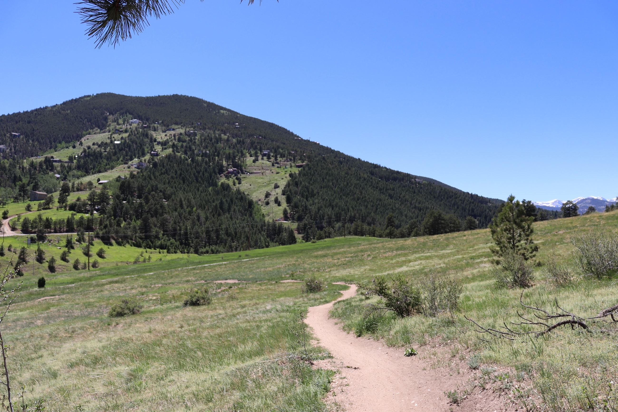 Meadow Loop Trail Image