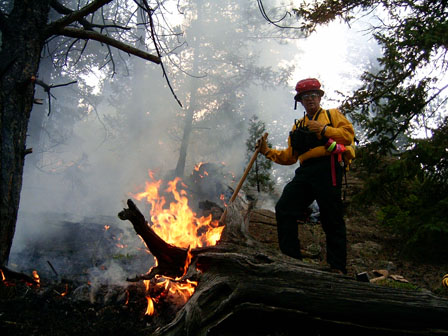 Wildland Crew Member
